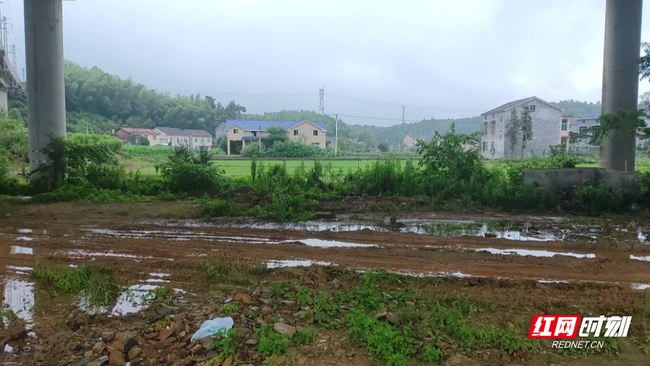 清理后的桥下空间.jpg