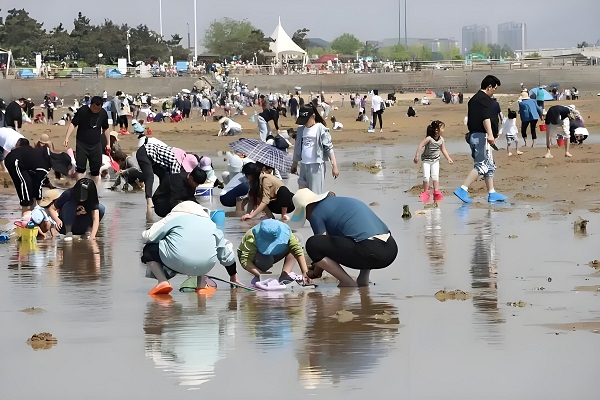 1782224665308262.jpeg 赶海.jpeg