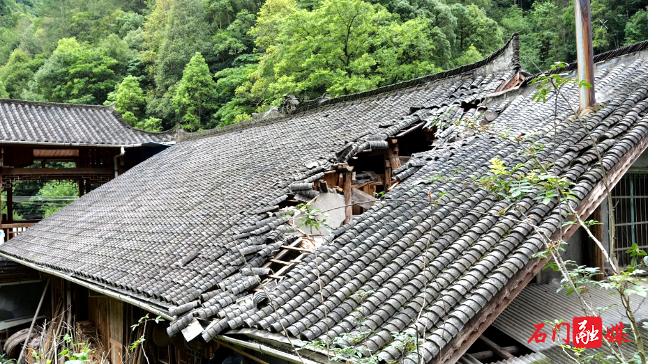 壶瓶山镇：巨大山石突然滚落 提前转移避险零伤亡11.png