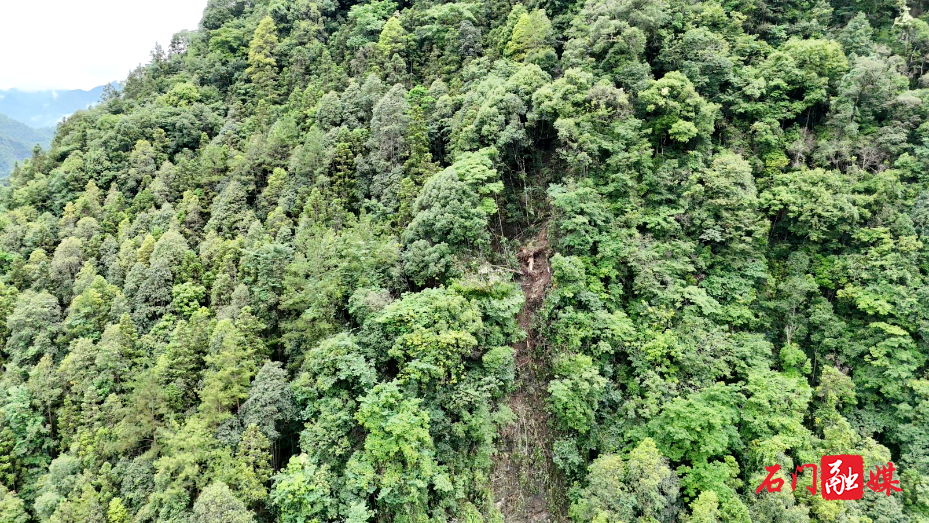 壶瓶山镇：巨大山石突然滚落 提前转移避险零伤亡2.png
