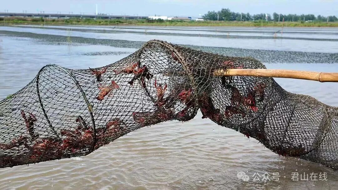 微信图片_20260617171918_1433_99.jpg
