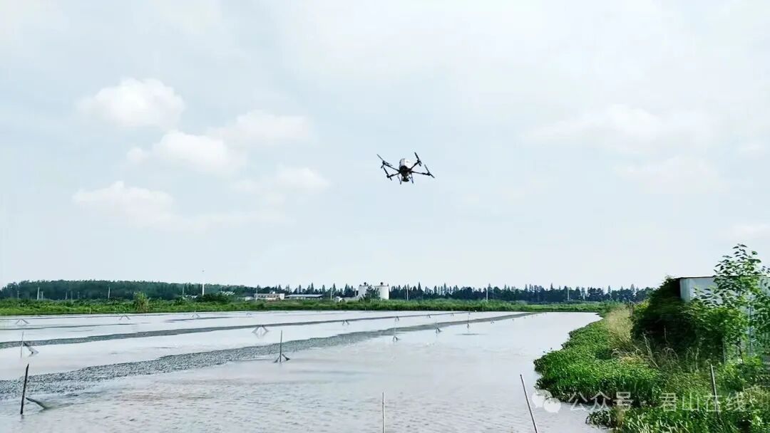 微信图片_20260617171928_1434_99.jpg