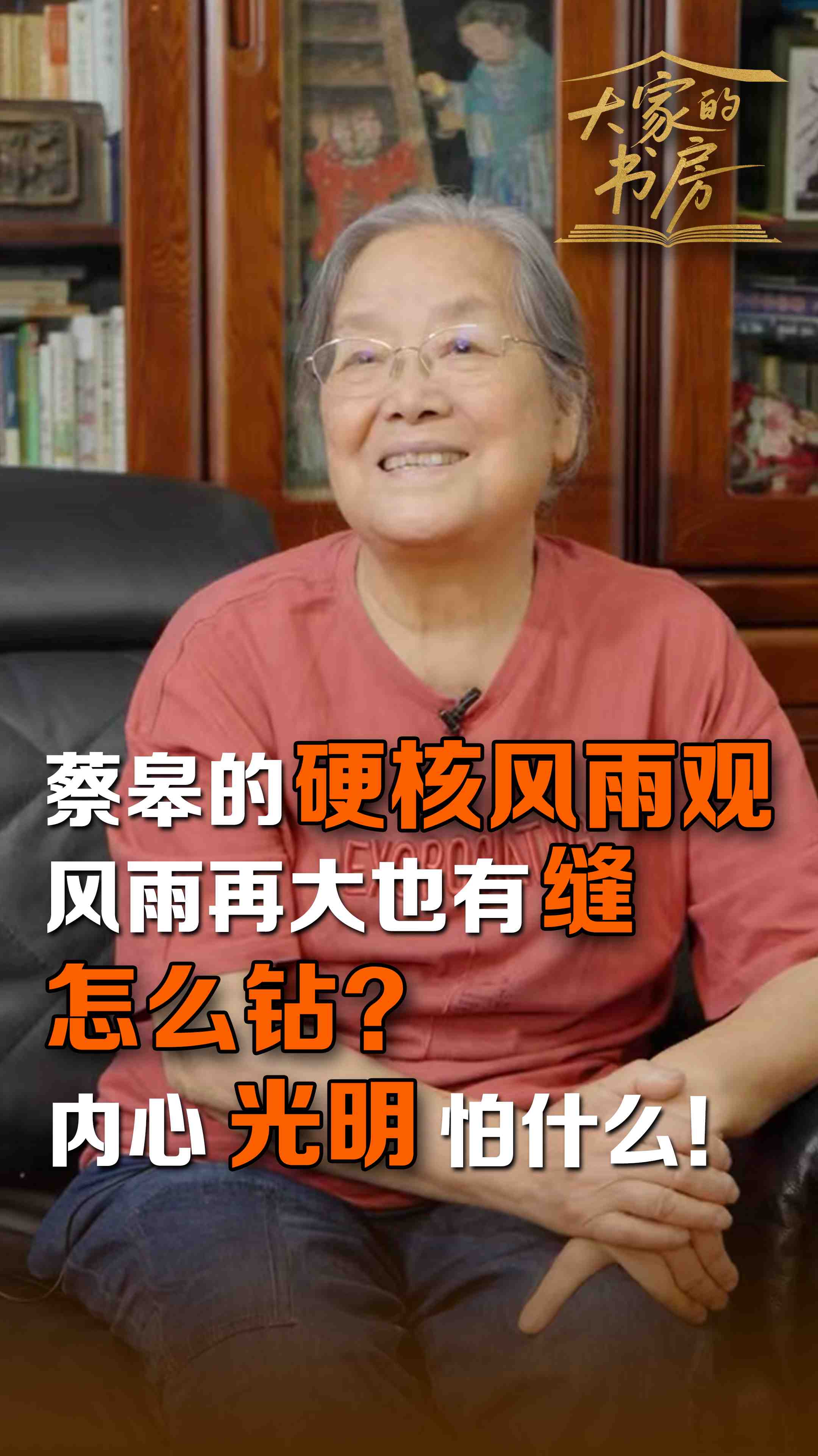 蔡皋的硬核“风雨观”