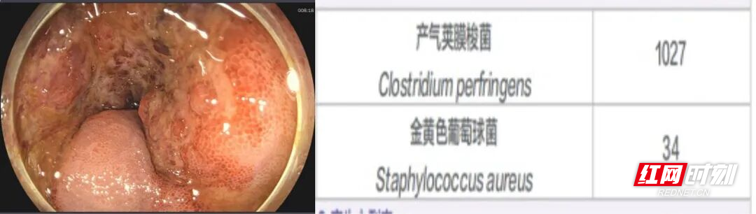 微信图片_20260626154325_3806_346.jpg