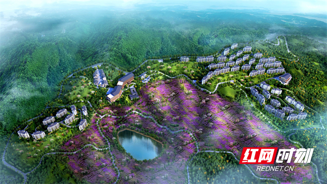 图片6.jpg 图片6.jpg