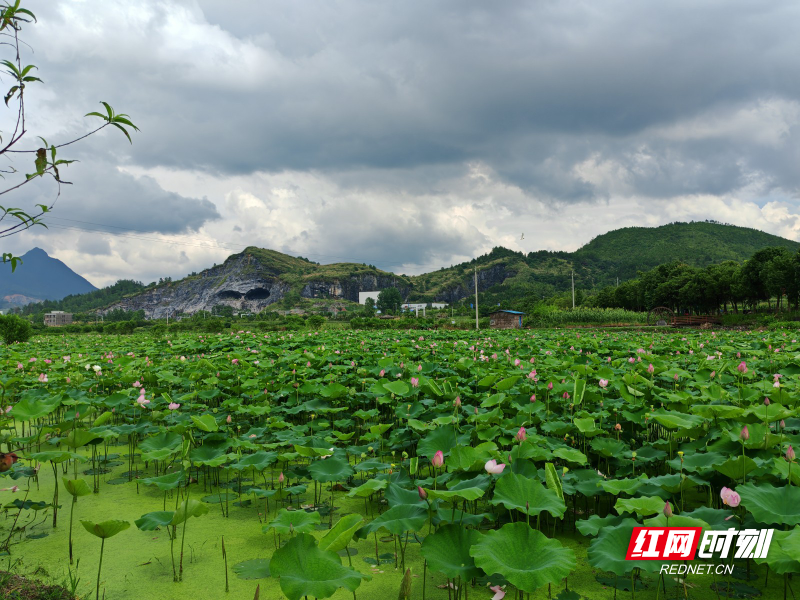 微信图片_2026-06-30_150235_170.jpg