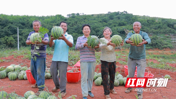 图片B21.png 图片B21.png