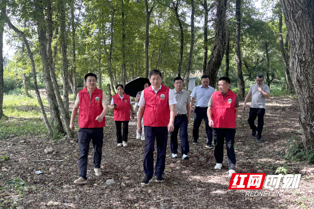 微信图片_20260630224730_3441_6.jpg 微信图片_20260630224730_3441_6.jpg