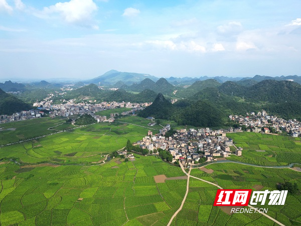 DJI_0723.JPG