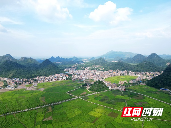 DJI_0729.JPG