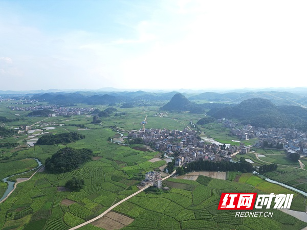 DJI_0730.JPG