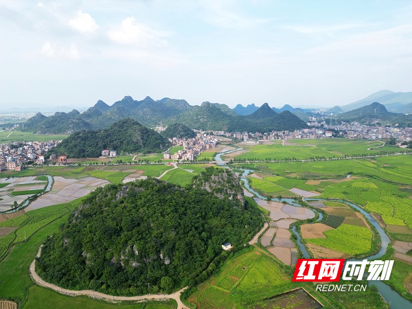 DJI_0736.JPG