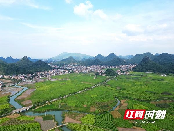 DJI_0739.JPG