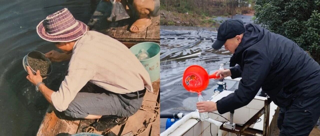 五十年·两代人·一扇门——记两位“七一”受表彰的环保人