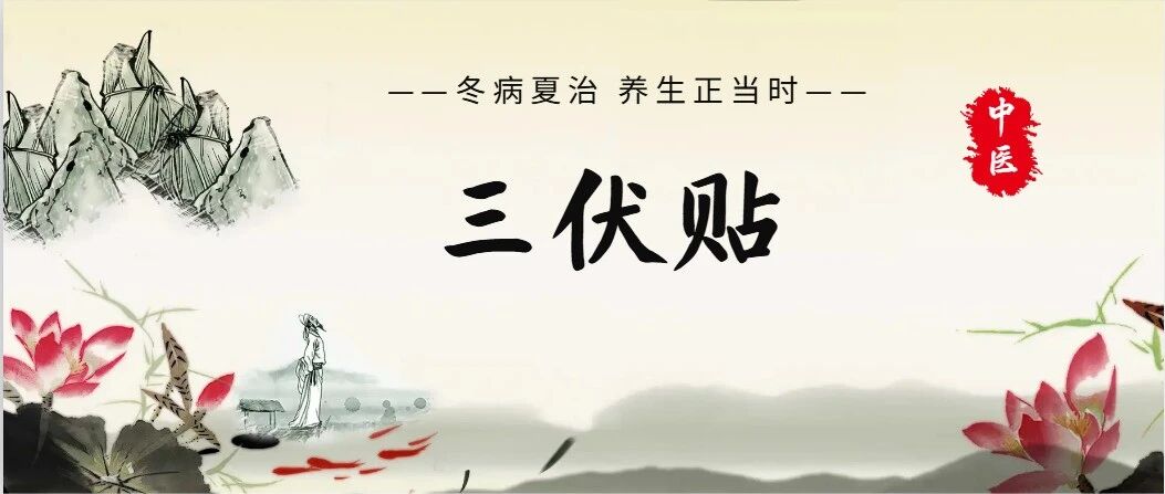 孩子反复感冒、鼻炎、挑食多汗?三伏贴夏养正当时,帮孩子筑牢体质