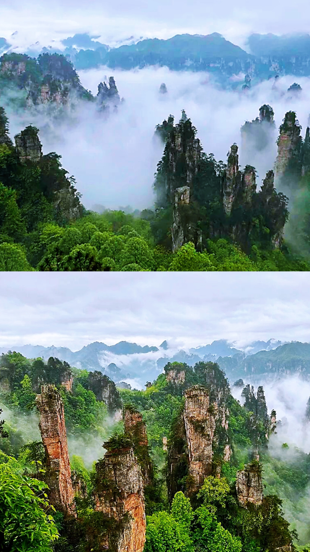 一雨成仙境！