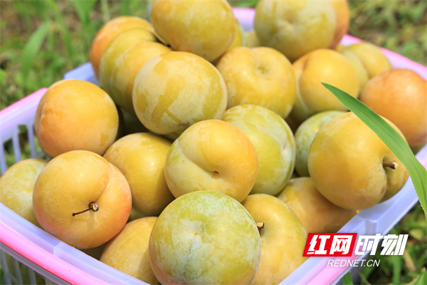 微信图片_20260706093830_157_457.jpg 微信图片_20260706093830_157_457.jpg