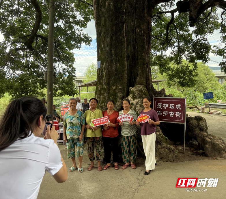 图片6.png 图片6.png