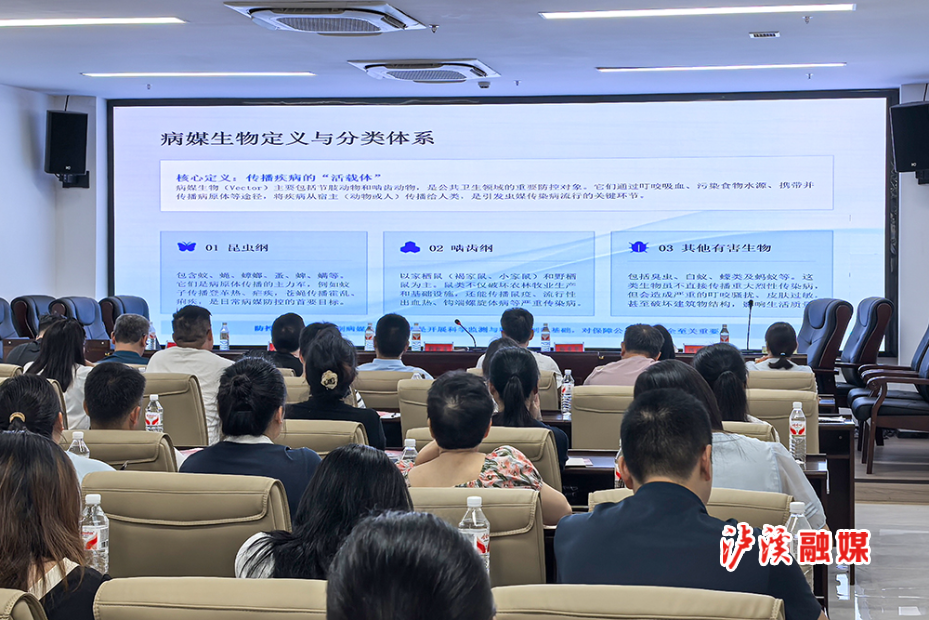 登革热.jpg2.jpg 登革热.jpg2.jpg