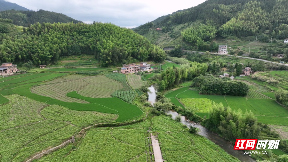 DJI_0998.MP4_20260708_184131.606.jpg DJI_0998.MP4_20260708_184131.606.jpg