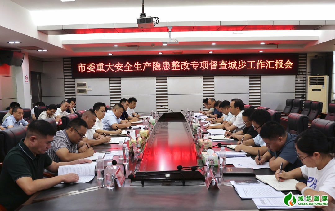 市委重大安全生产隐患整改专项督查城步工作汇报会召开(图3)