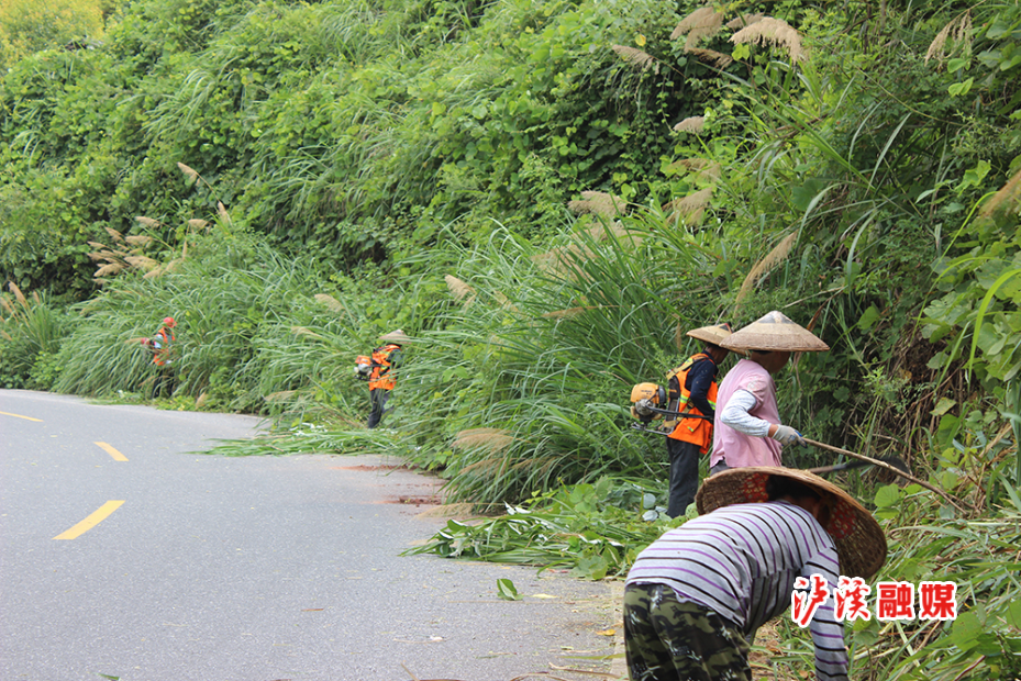 公路局清理路边杂草.jpg 公路局清理路边杂草.jpg