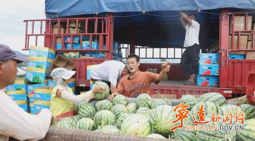 宁远:西瓜喜获丰收 产销两旺销路畅2_副本500.jpg 宁远:西瓜喜获丰收 产销两旺销路畅2_副本500.jpg