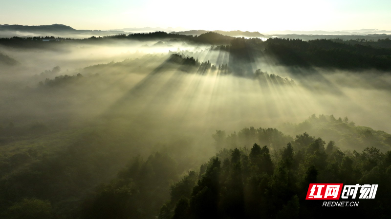 DJI_0752.JPG DJI_0752.JPG