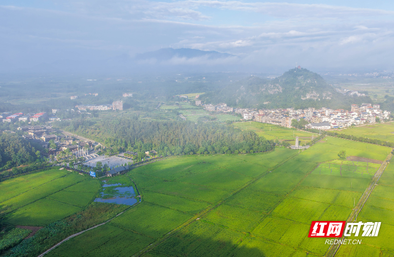DJI_20260710071835_0026_D 拷贝.jpg