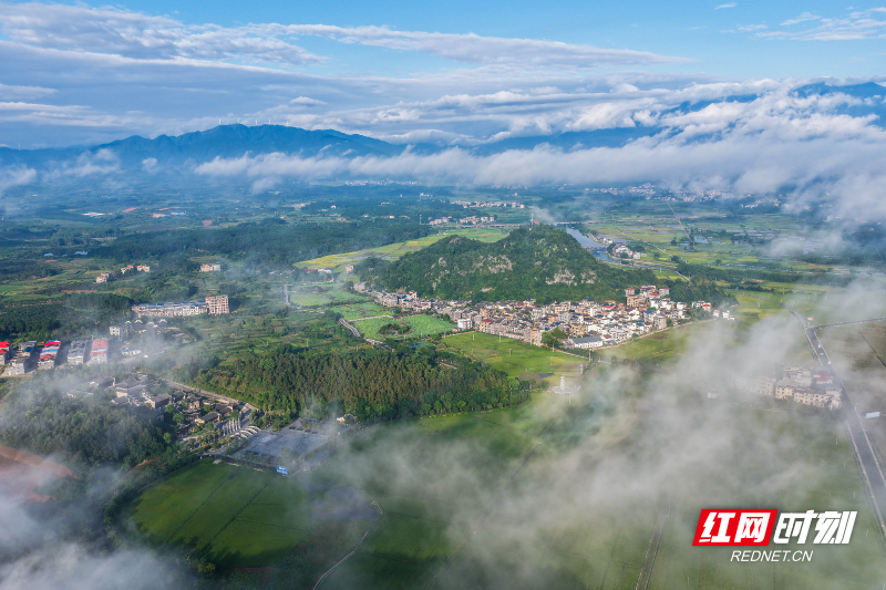 DJI_20260710071926_0029_D 拷贝.jpg