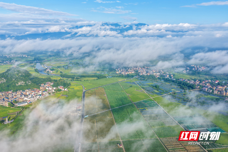 DJI_20260710072006_0033_D 拷贝.jpg