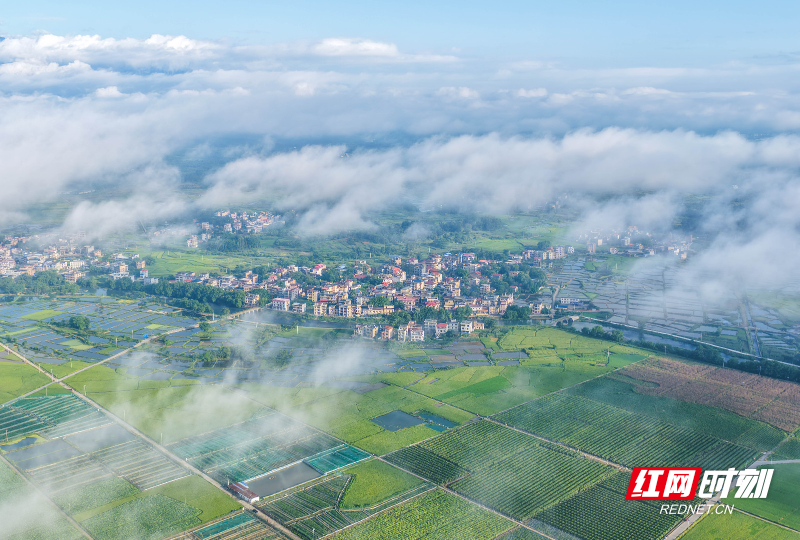 DJI_20260710072012_0034_D 拷贝.jpg