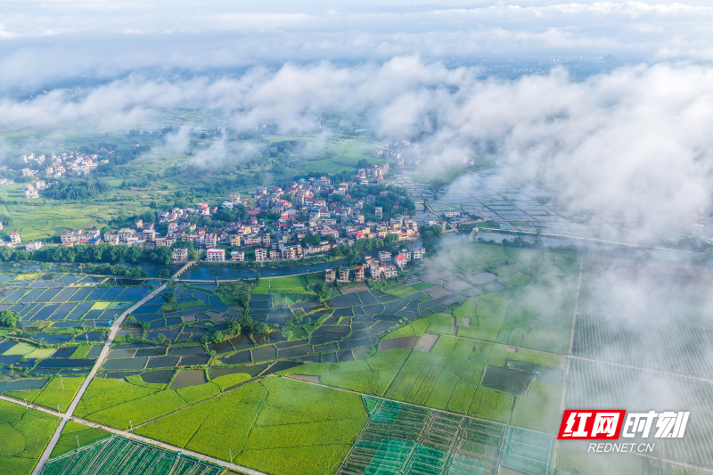 DJI_20260710072235_0043_D 拷贝.jpg