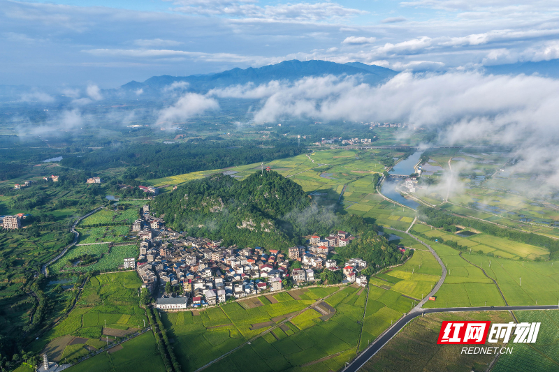 DJI_20260710072251_0044_D 拷贝.jpg