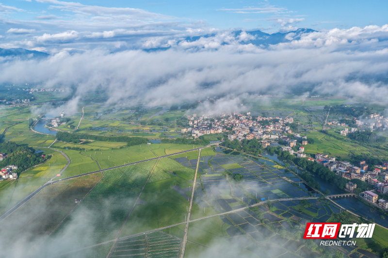 DJI_20260710072321_0045_D 拷贝.jpg