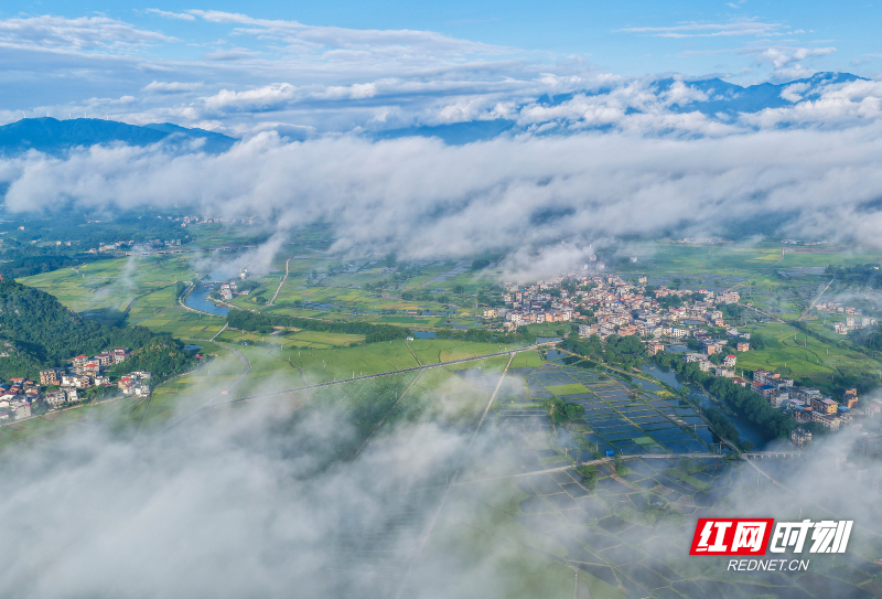 DJI_20260710072336_0046_D 拷贝.jpg