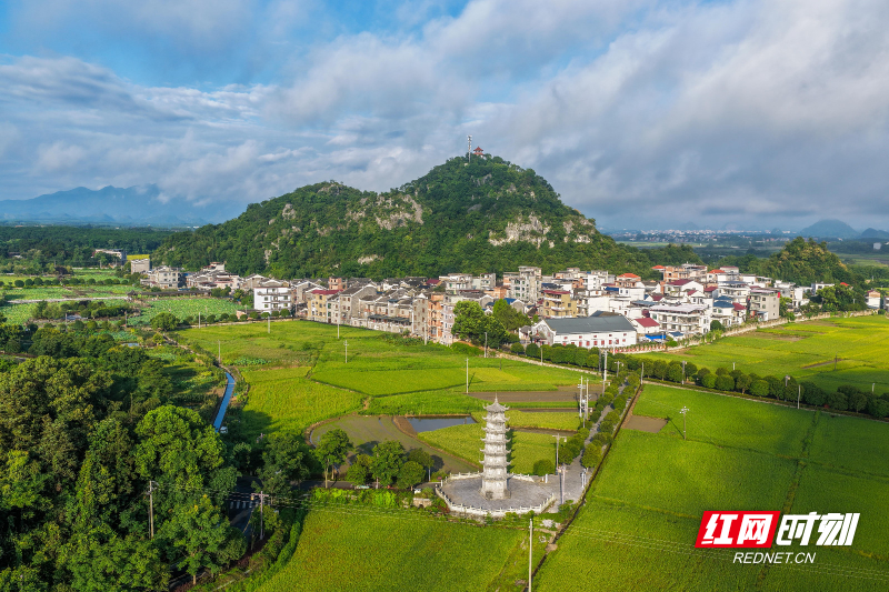 DJI_20260710072638_0051_D 拷贝.jpg
