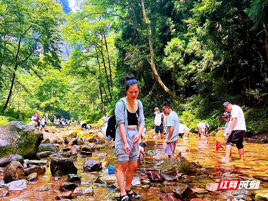 微信图片_20260710141105_139_4.jpg
