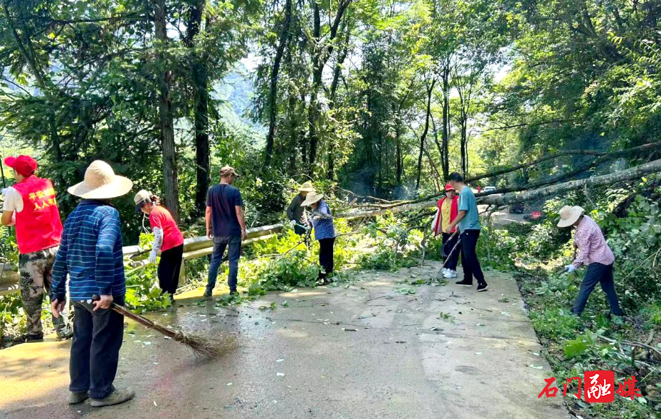 壶瓶山镇:文明实践聚合力 砍青清障助重建1.jpg 壶瓶山镇:文明实践聚合力 砍青清障助重建1.jpg