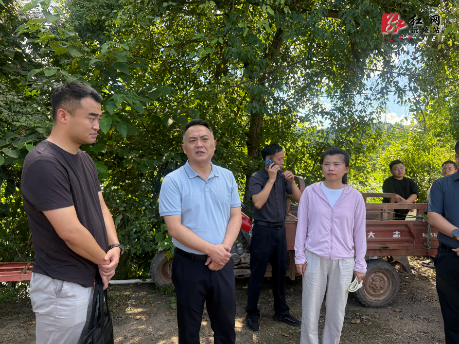 微信图片_20260710105447_3400_50.jpg