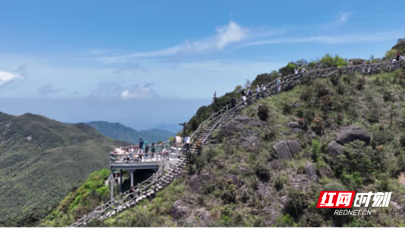 宜章莽山:暑期“避暑游”持续升温552.png 宜章莽山:暑期“避暑游”持续升温552.png
