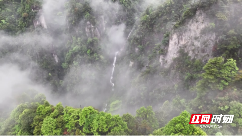 宜章莽山:暑期“避暑游”持续升温557.png 宜章莽山:暑期“避暑游”持续升温557.png