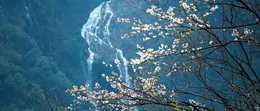 湖南真美丨一个瀑布的“出圈”与一座山的觉醒