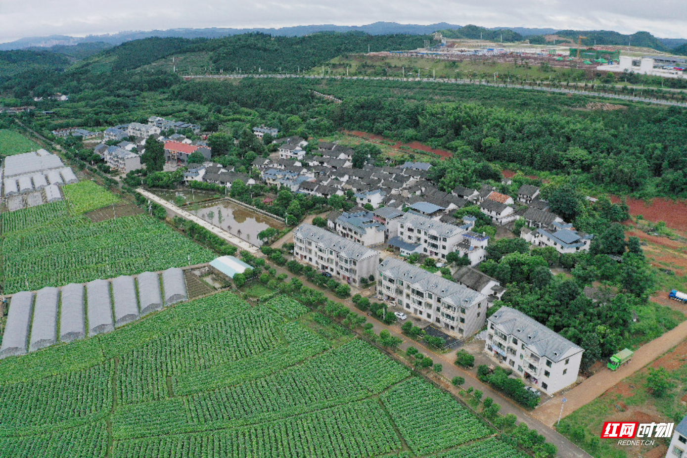 DJI_0649.jpg