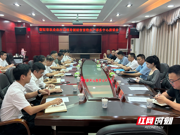 图片11.png