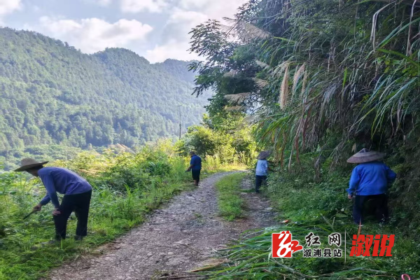 砍青图.jpg 砍青图.jpg