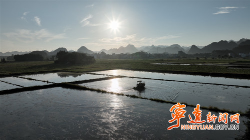 宁远：夏日晨曦绘就十里生态画卷5_副本500.jpg