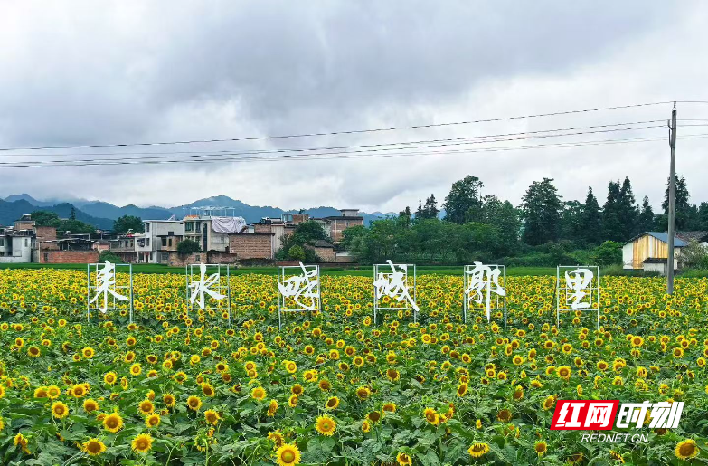 微信图片_2026-07-14_164217_555.jpg 微信图片_2026-07-14_164217_555.jpg