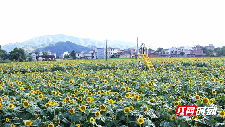 微信图片_2026-07-14_164225_659.jpg 微信图片_2026-07-14_164225_659.jpg