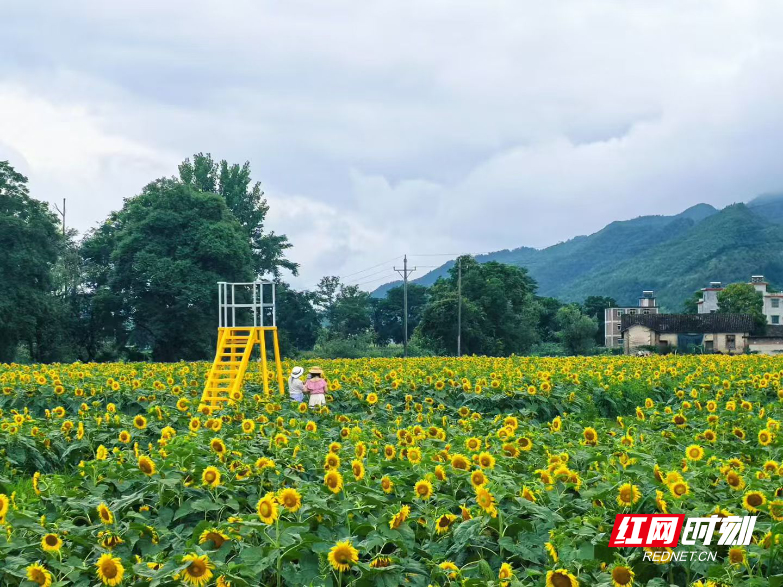 微信图片_2026-07-14_164221_705.jpg 微信图片_2026-07-14_164221_705.jpg